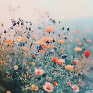 Track